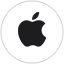 Logo Apple Pay